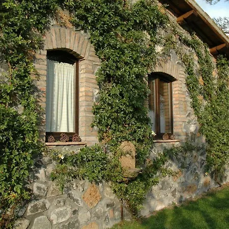 Bove Orvieto